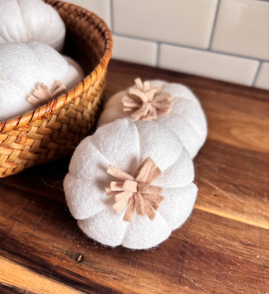 Pretend Play Felt Garlic