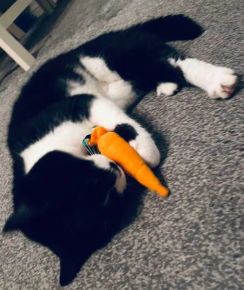 Novelty Felt Food Cat Nip Carrot Cat Toy