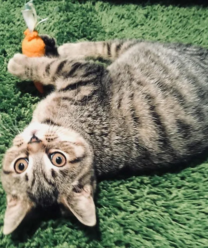 Novelty Felt Food Cat Nip Carrot Cat Toy
