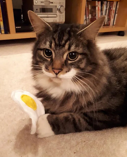 Novelty Felt Food Cat Nip Fried Egg Cat Toy