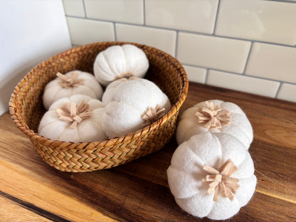 Pretend Play Felt Garlic